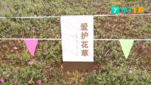 荻花柱子